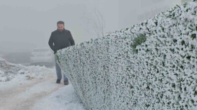 Tatvan'da soğuk hava ağaçlara kırağı tuttu, bölge kartpostallık manzaralara sahne