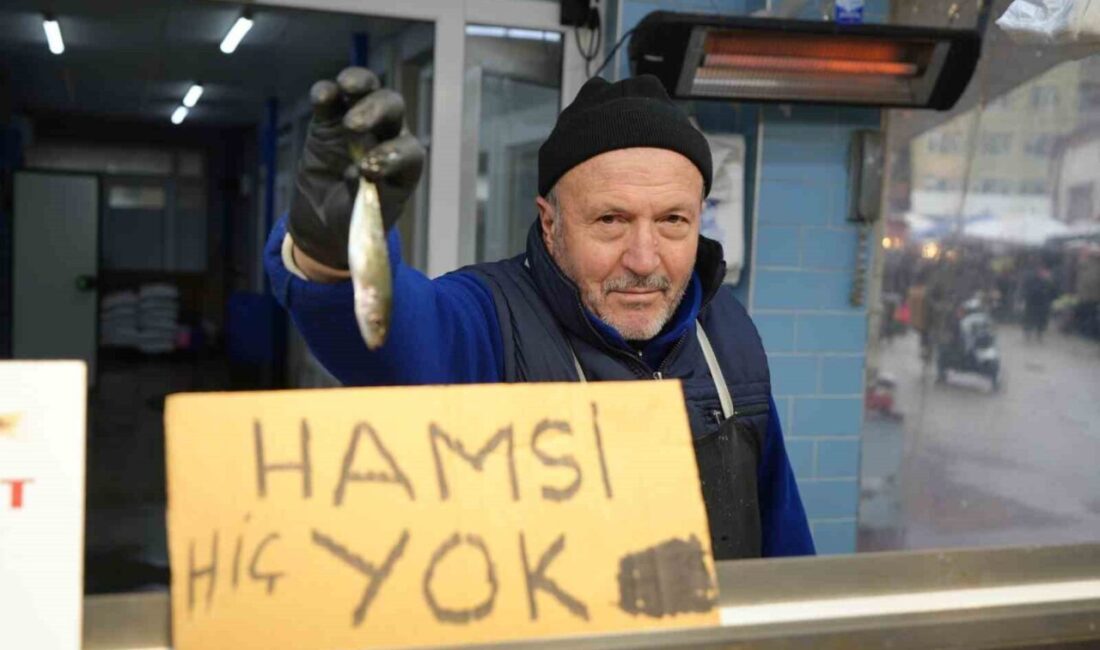 Bolu'da hamsi eksikliği, diğer