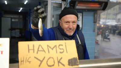 Bolu'da hamsi eksikliği, diğer deniz ürünlerinin fiyatlarını artırdı. Hamsi yerine