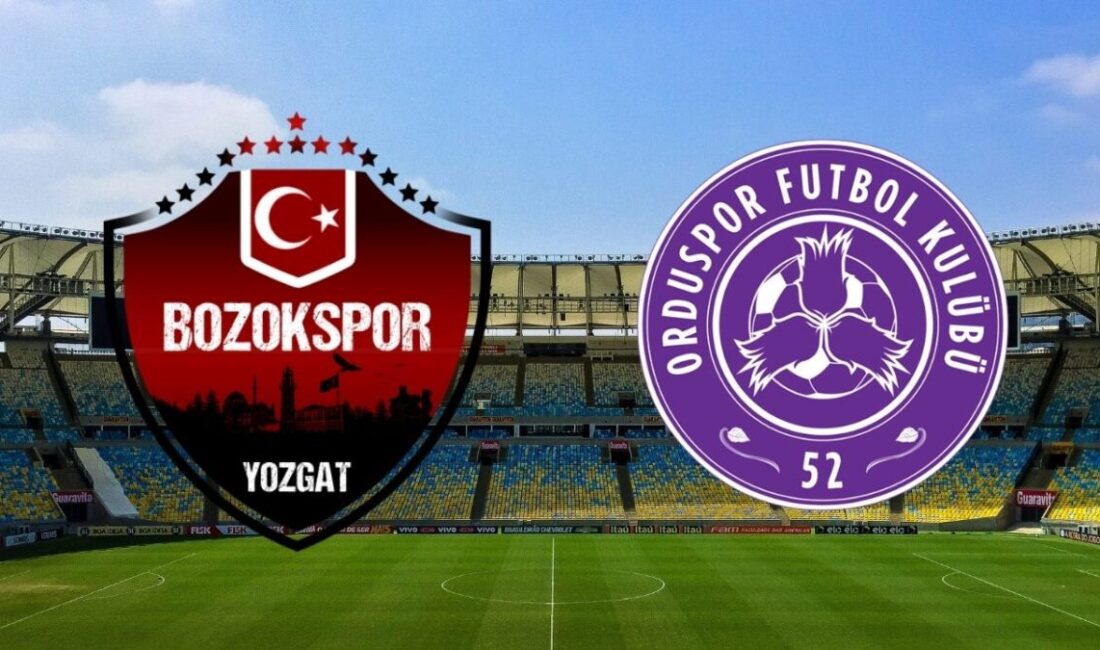 Bozokspor, Nesine 3. Lig