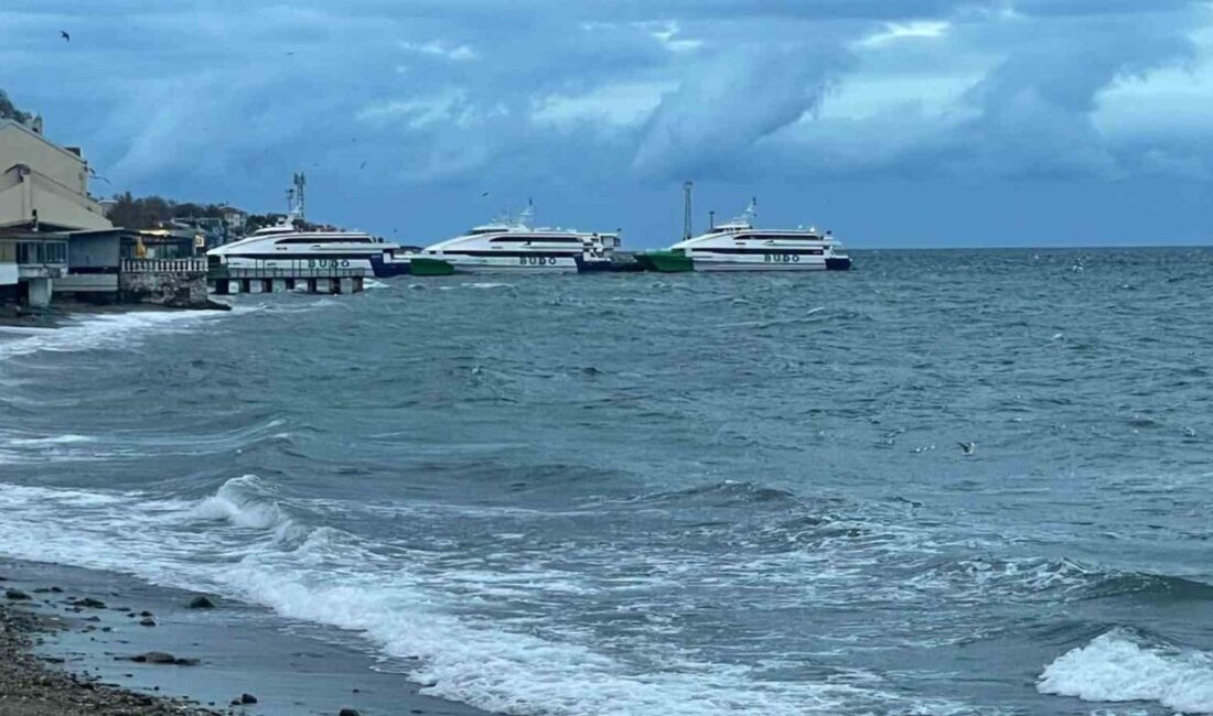 BUDO’nun bazı seferleri iptal edildi Marmara Bölgesi'nde kötü hava