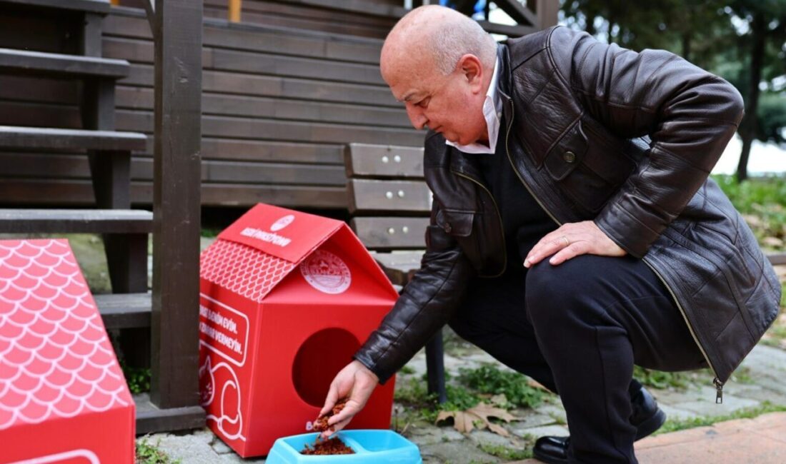 Bulancak Belediyesi’nden sokak kedileri için ’kedi pansiyonu’ Giresun Bulancak Belediyesi, sokak