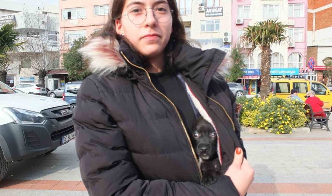 Balıkesir'de, lise öğrencisi Ilgın