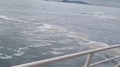 Büyükada sahillerinde ortaya çıkan müsilaj, deniz yüzeyini beyaz bir tabaka