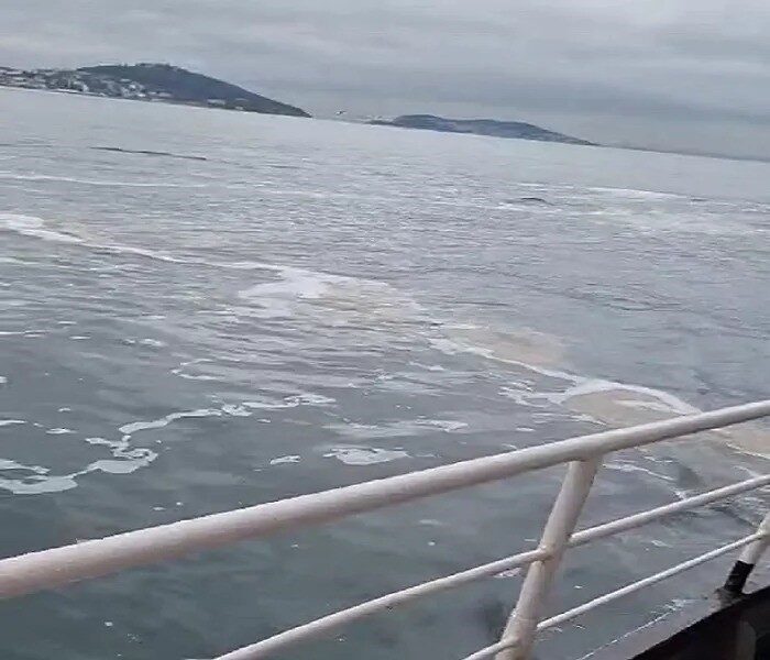 Büyükada sahillerinde ortaya çıkan müsilaj, deniz yüzeyini beyaz bir tabaka