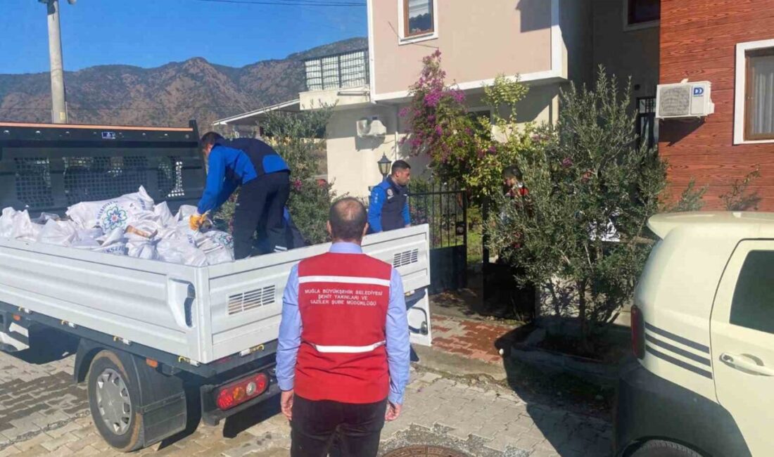 Muğla Büyükşehir Belediyesi, kesme