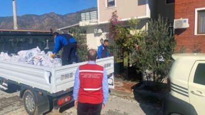 Muğla Büyükşehir Belediyesi, kesme ve budama sonrası elde edilen odunları