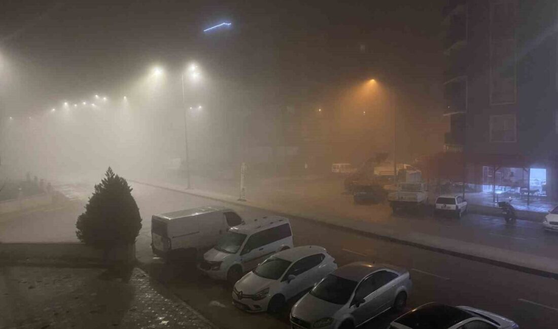 Çanakkale Boğazı'nda yoğun sis nedeniyle saat 06.17 itibarıyla transit gemi
