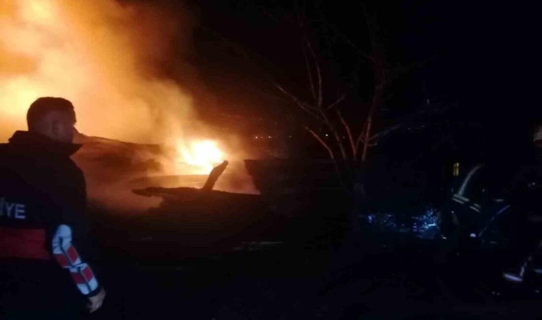 Çan ilçesine bağlı Terzialan beldesinde Mehmet Orta'ya ait bir evin