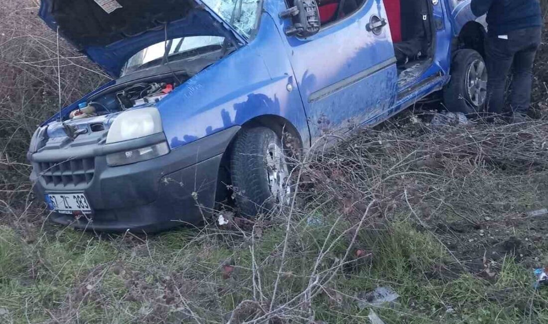 Zonguldak'ın Çaycuma ilçesinde ticari aracın köpeğe çarpmamak için kaçınma manevrası