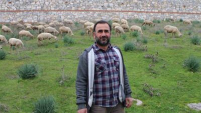 Bir ömür boyu koyunlarıyla geçinen Musa Türkoğlu, çobanlığın azaldığı günümüzde