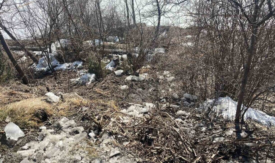 Çöp yığınları vatandaşı bıktırdı Erzurum'un Oltu ilçesinde bulunan
