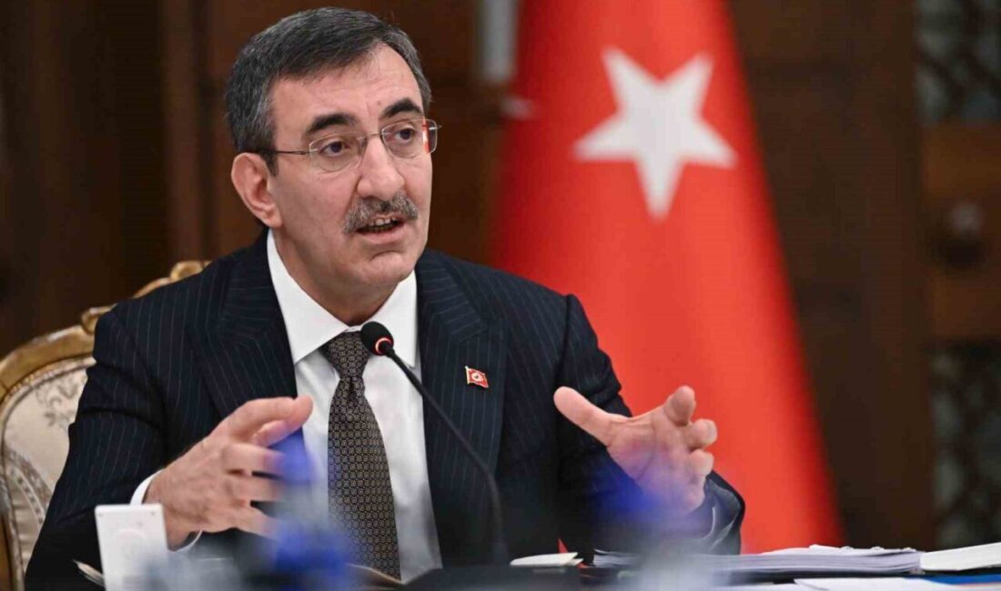 Cumhurbaşkanı Yardımcısı Cevdet Yılmaz, Nüfus Politikaları Kurulu'nun Türkiye'nin demografik geleceğini