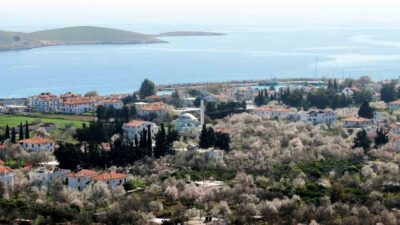 Datça'nın erkenci badem ağaçları, Şubat ayı ortalarında çiçek açarak ilk