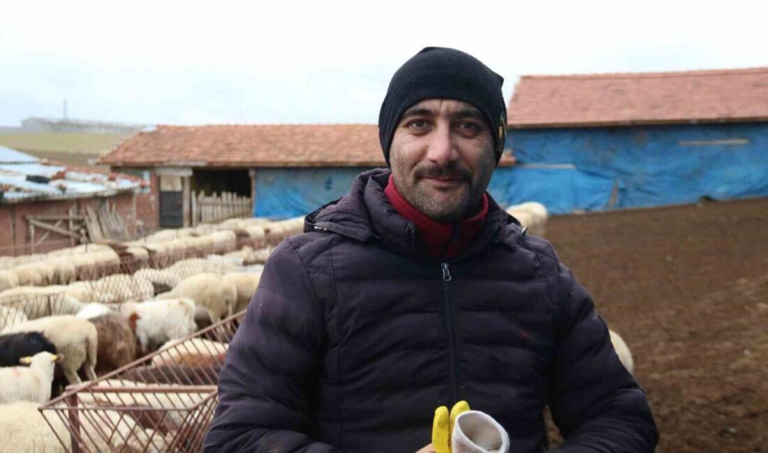 Keskin Mahallesi'nde canlı küçükbaş