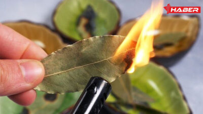 Defne yaprağı yakmak, hem kültürel hem de dini anlamlar taşıyan