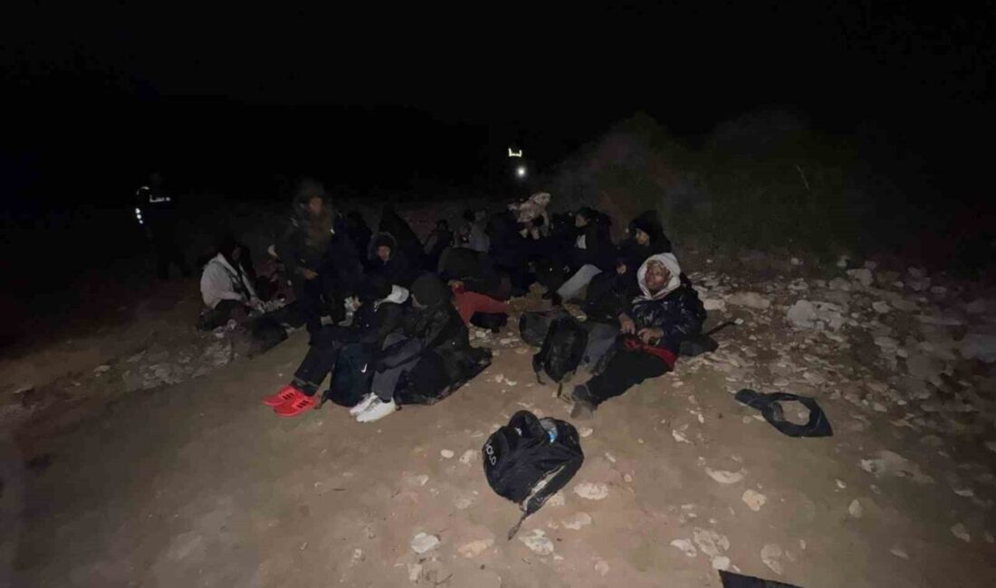 Didim'de jandarma, 26 düzensiz