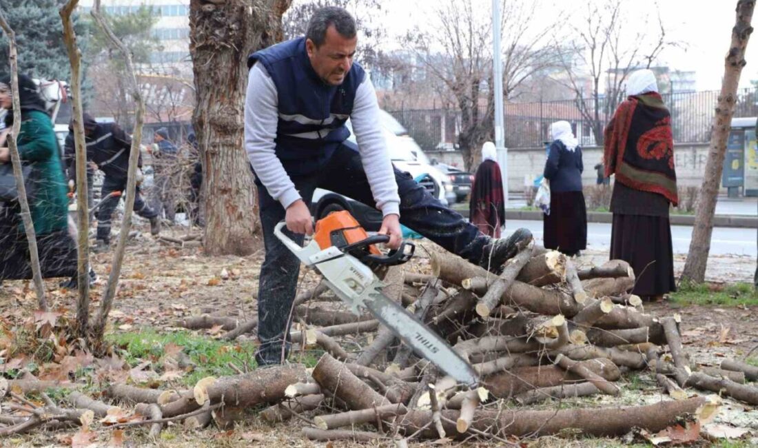 Diyarbakır Büyükşehir Belediyesi, Yenişehir,