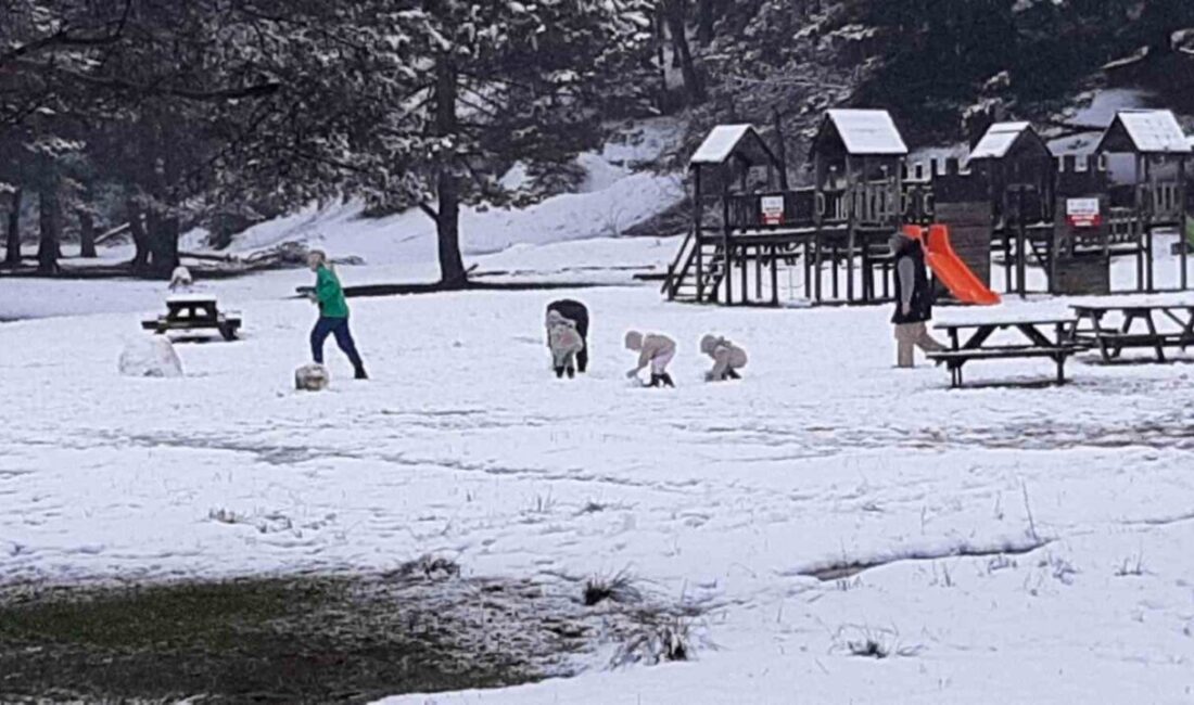 Bolu'daki Abant Gölü Milli Parkı, kış mevsiminde büyüleyici bir manzaraya