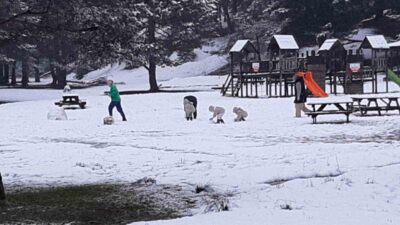 Bolu'daki Abant Gölü Milli Parkı, kış mevsiminde büyüleyici bir manzaraya