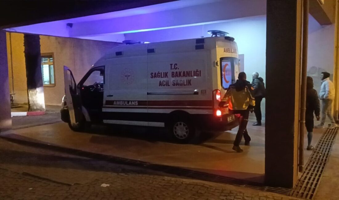 Manisa’nın Kırkağaç ilçesinde domuz avına çıkan S.S., yanlışlıkla arkadaşı Davut