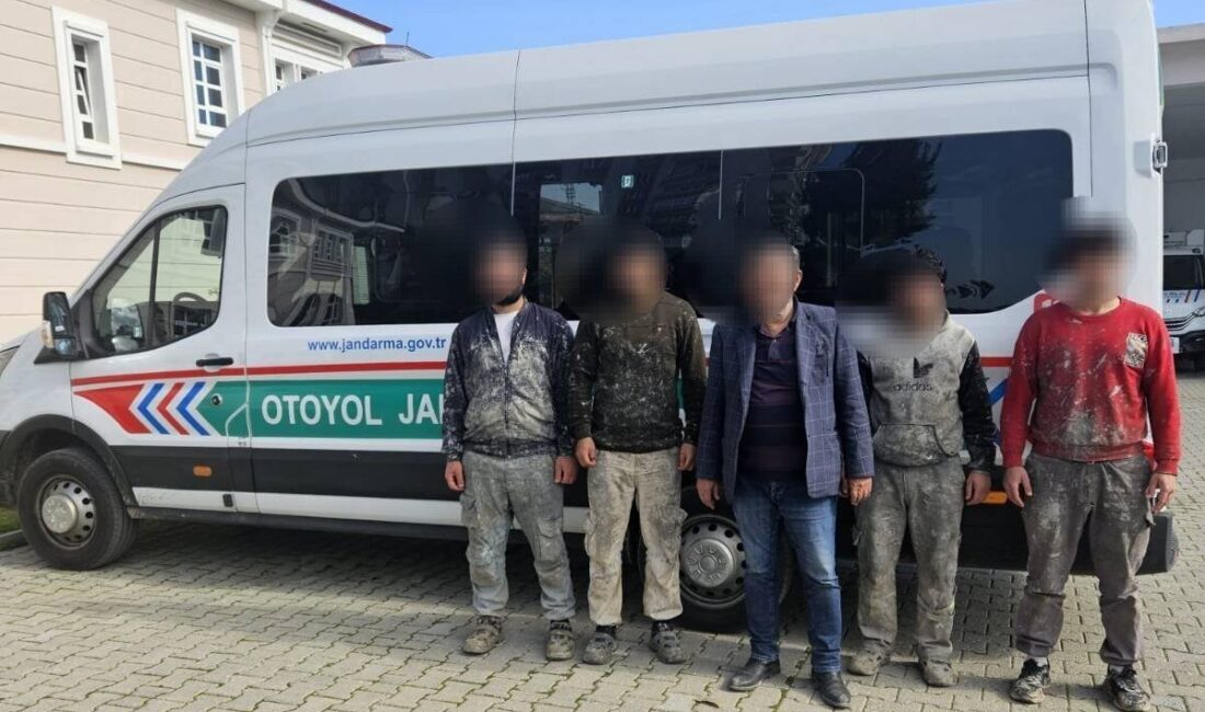 Aydın'ın Germencik ilçesinde yapılan kontrolde 4 düzensiz göçmen araç içerisinde