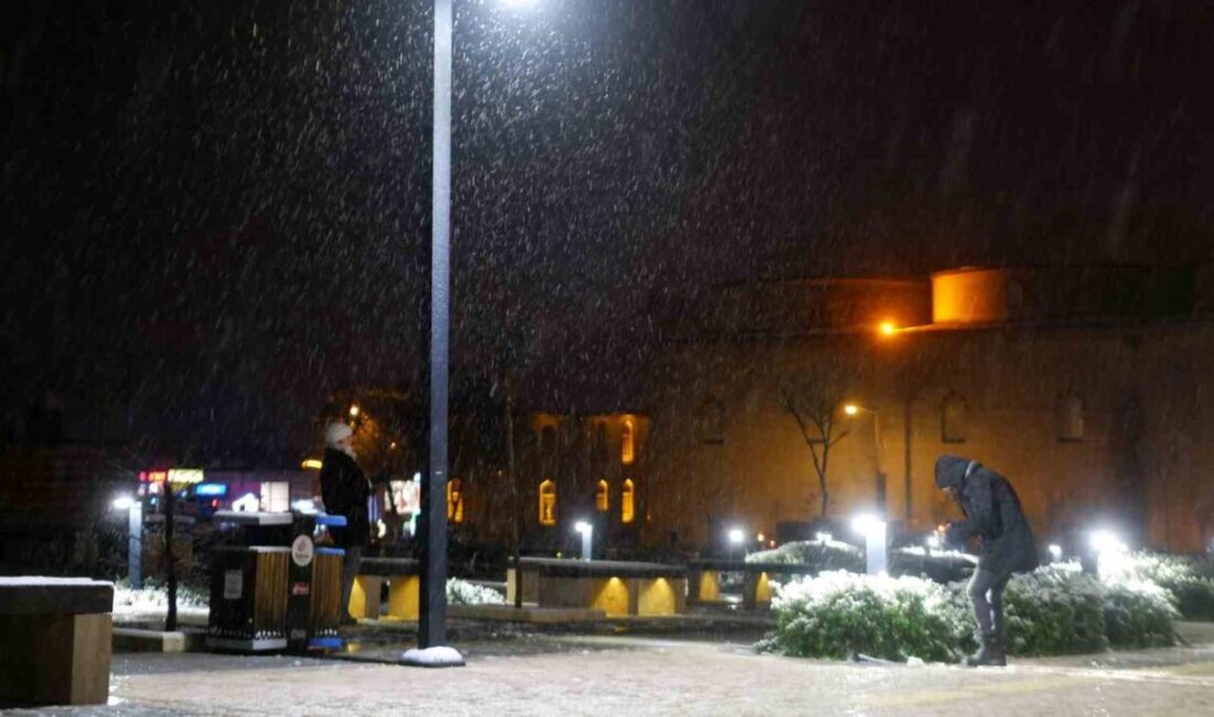 Edirne’de lapa lapa yağan kar, kartpostallık görüntüler oluşturdu Edirne'de gece başlayan kar
