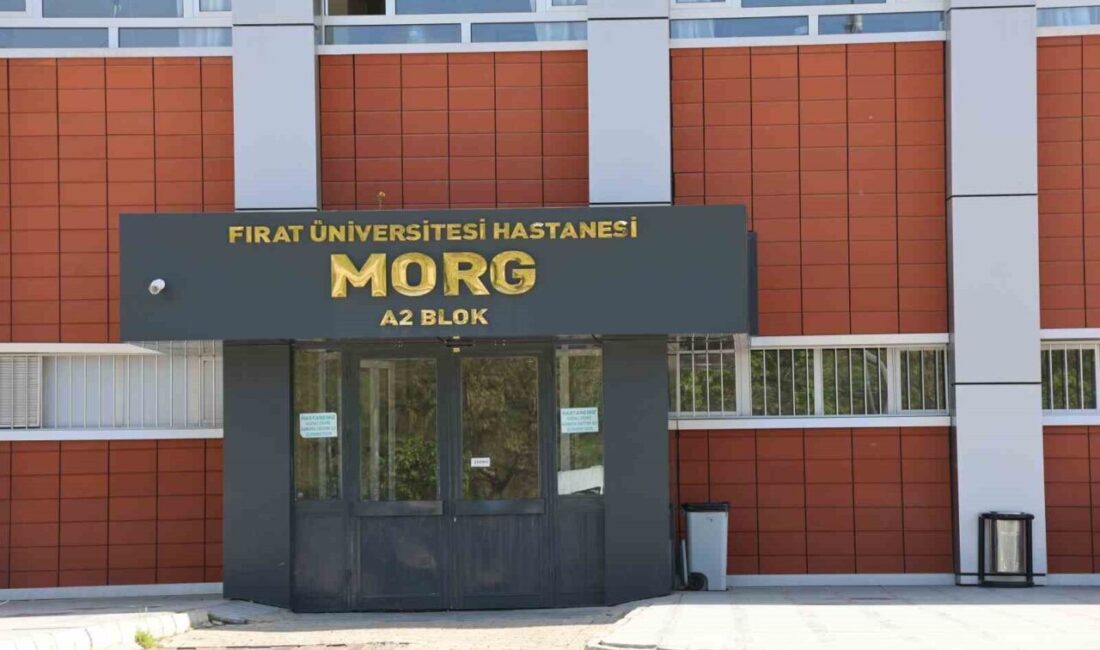 Elazığ'da bir inşaat şantiyesinde