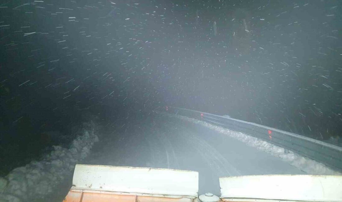 Elazığ'da kar yağışı nedeniyle