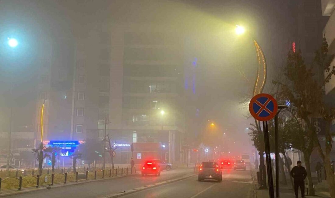 Elazığ’da yoğun sis: Görüş mesafesi 5 metreye kadar düştü Elazığ'da gece sis etkisiyle