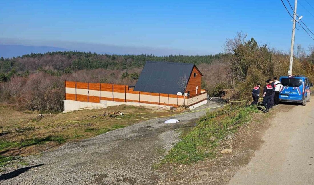 Sapanca'da bir emekli polis, arsa anlaşmazlığı nedeniyle kardeşini beylik tabancasıyla