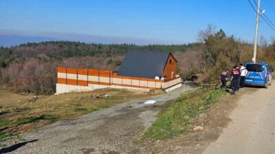 Sapanca'da bir emekli polis, arsa anlaşmazlığı nedeniyle kardeşini beylik tabancasıyla