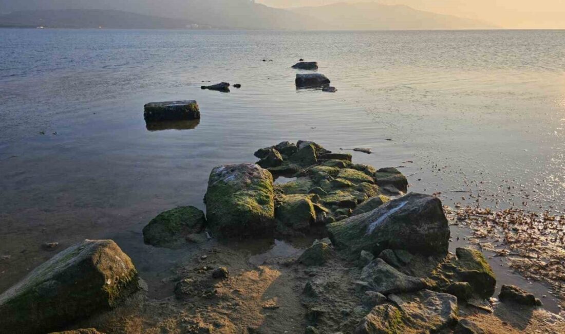 Balıkesir'in Erdek ilçesindeki Düzler mevkisinde deniz suyunun çekilmesiyle 3 bin
