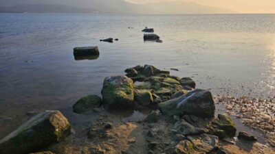 Balıkesir'in Erdek ilçesindeki Düzler mevkisinde deniz suyunun çekilmesiyle 3 bin