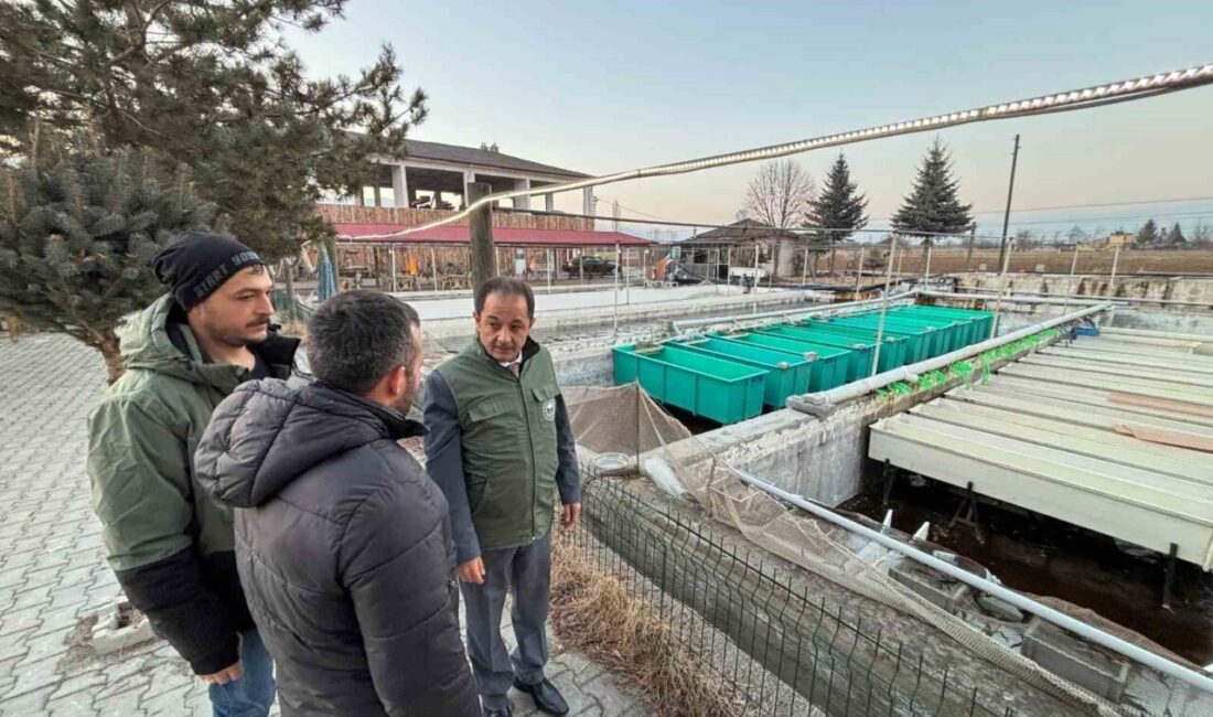 Erzincan'da su ürünleri sektöründe 16 tesis bulunmakta ve 13 yeni