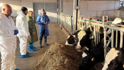 Erzincan'da büyükbaş hayvancılık işletmelerinde ari işletme sertifikası alma çalışmaları hız
