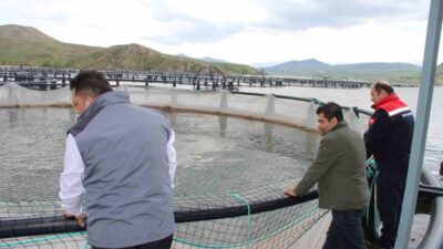 Erzincan'da tarım ve hayvancılığa dayalı ekonomi, güçlenen tarımsal örgütler ve