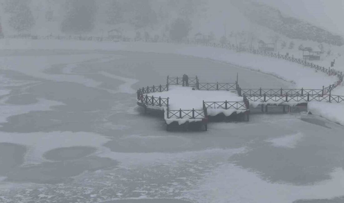 Erzincan'da soğuk hava nedeniyle donan şelale, baraj gölü ve göletler