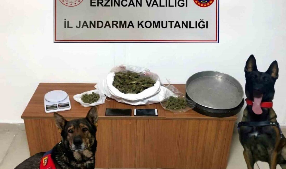 Erzincan İl Jandarma Komutanlığınca,