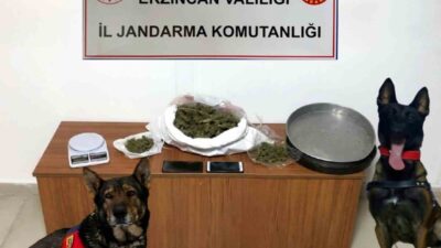 Erzincan İl Jandarma Komutanlığınca, Aralık 2024 ayında icra edilen asayiş,
