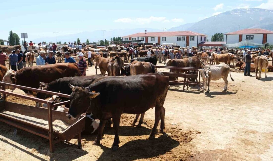 Erzincan’daki hayvan pazarında şap karantinası Erzincan'da şap hastalığı nedeniyle