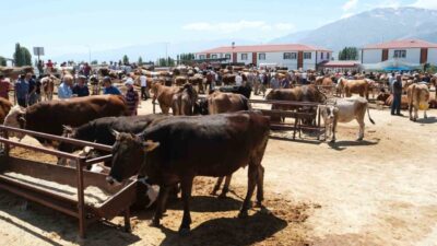 Erzincan'da şap hastalığı nedeniyle hayvan pazarı karantinaya alındı. Belediye ekipleri