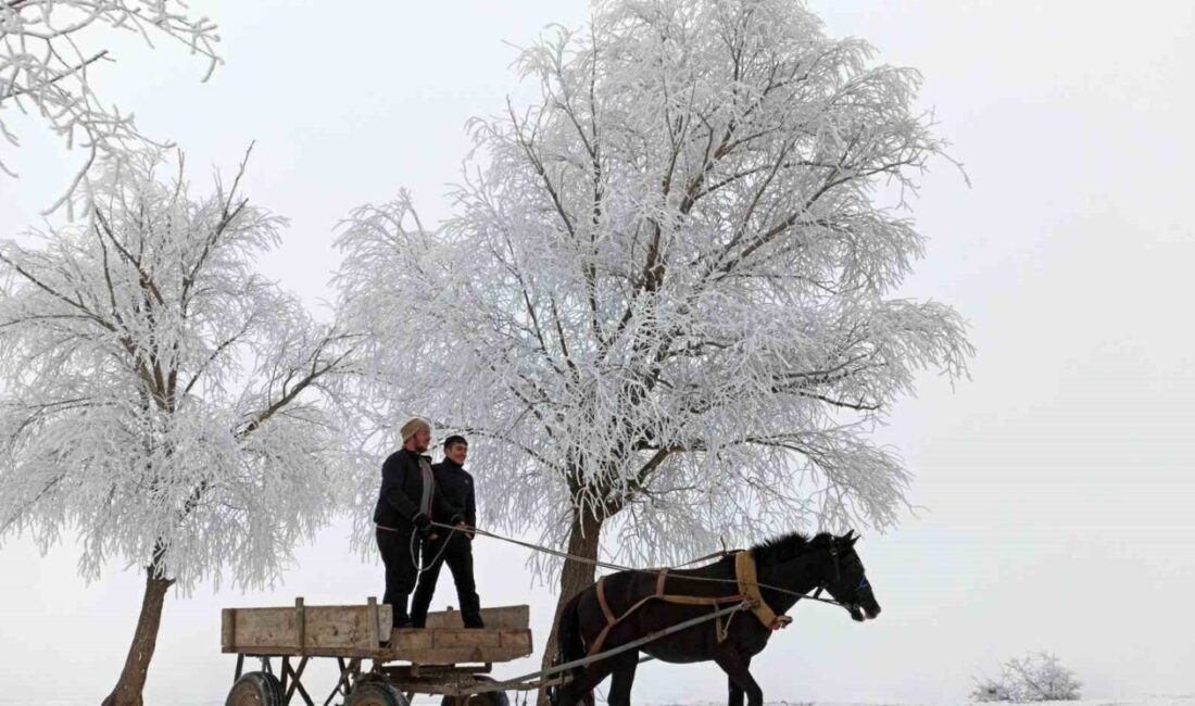 ERZİNCAN’IN OTLUKBELİ İLÇESİNDE GECE HAVA SICAKLIĞI -20 DERECEYE DÜŞTÜ Erzincan'da hava sıcaklığı hızla