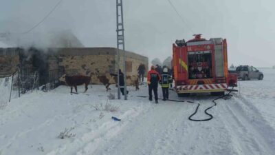 Erzurum'un Aziziye ilçesinde çıkan ahır yangınında 85 hayvan kurtarıldı. Elektrik