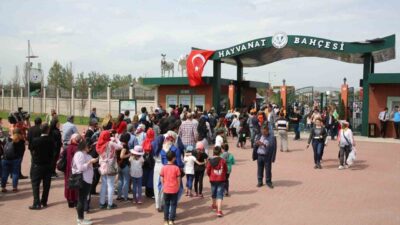 Eskişehir Büyükşehir Belediyesi'ne ait Hayvanat Bahçesi, 240'tan fazla hayvan türüne