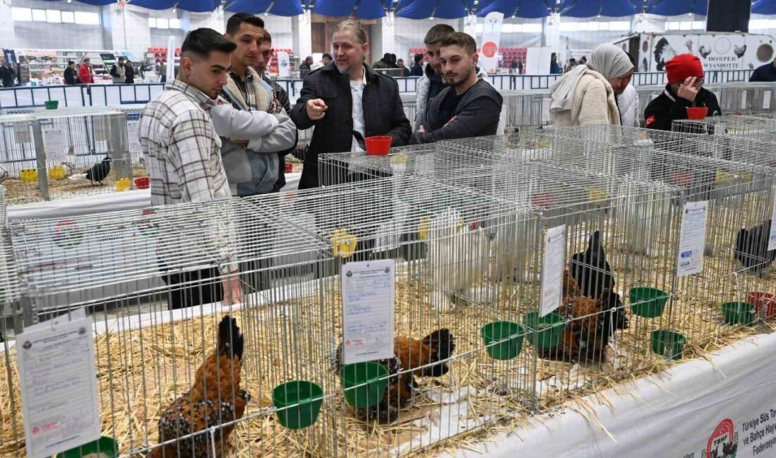 Isparta Belediyesi'nin desteklediği 8.