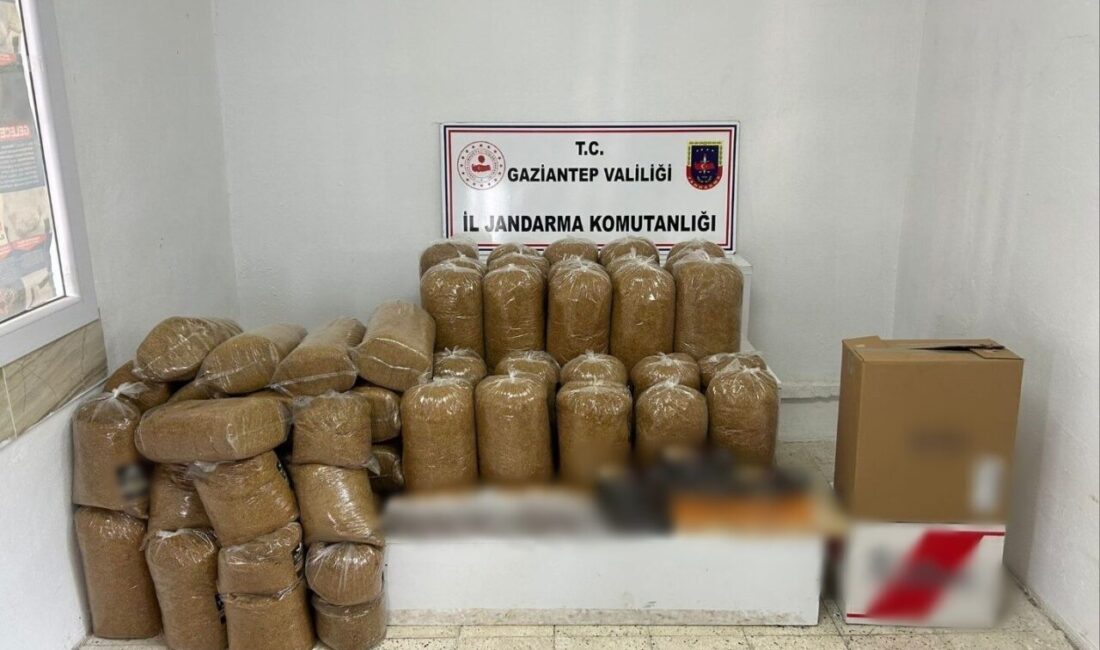 Gaziantep’te 1 ton 700 kilo kaçak tütün ele geçirildi: 5 gözaltı Gaziantep'te jandarma operasyonunda 1