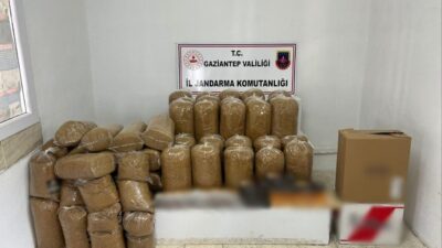 Gaziantep'te jandarma operasyonunda 1 ton 732 kilo kaçak tütün ele