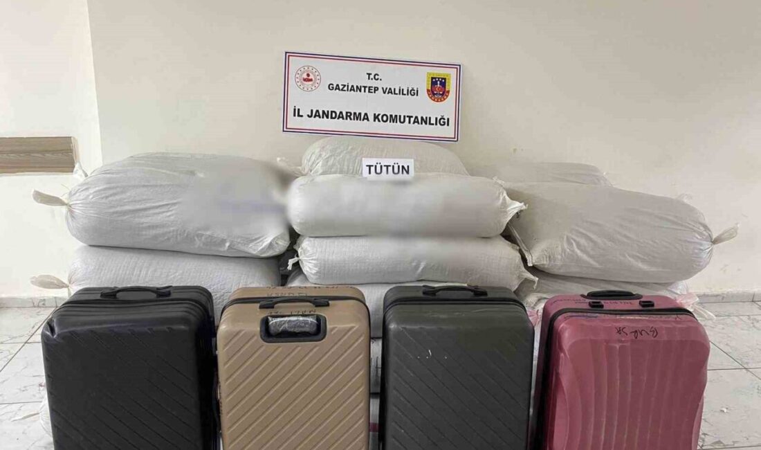 Gaziantep’te 1 ton 750 kilo kaçak tütün ele geçirildi Gaziantep'te yapılan operasyonda 1