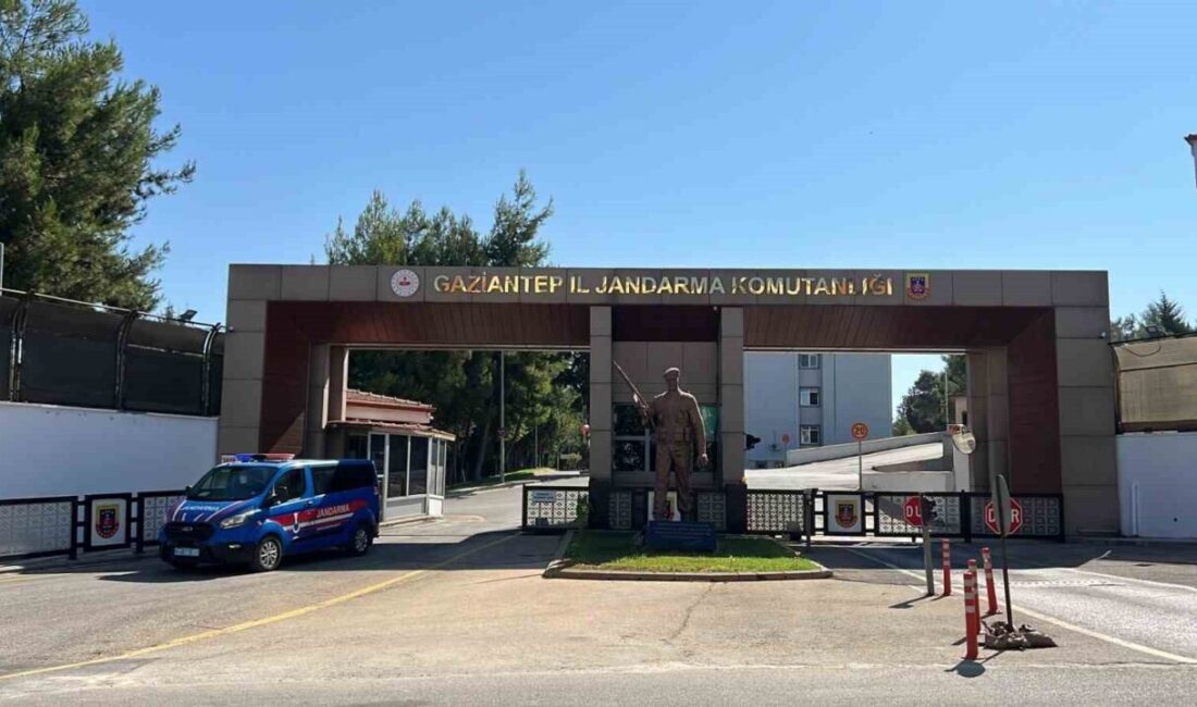 Gaziantep'te aranan 14 şüpheli, jandarma ekiplerince yakalandıktan sonra tutuklandı. Şüpheliler,